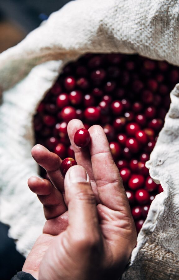 Café en grano 500g